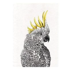 Maxwell & Williams Marini Ferlazzo 50 X 70 Cm Tea Towel Cockatoo